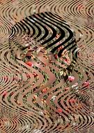 2019-04-14/f444e8a41c0d5f44c16e2590cf2d6f6f_67614627e90eb8de6bbb54f4235f7ba8