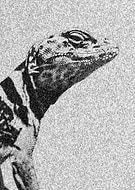 2019-04-15/0f02b3672f3a6cf01f07c49ec0b5a59c_f2889fd8b73d7734453cfaf14527dd76