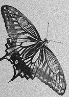 2019-04-15/468cdced2dbb699fd5ee8aacb3c0ffe5_771aeef05a97ecdae4feec2b87aabcea