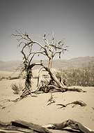 2019-04-15/a47e748c5469608fcd21e1776b14e118_6264ea9b7bb8158f75f38dacb746a21d