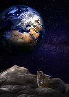 2019-04-16/6988c6337290f1413b164659e1b15401_8e62abdba31c7e1a25e22d0c63870853