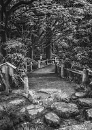 2019-04-16/97d023bb17e8008e62f3b44040c6a07c_08da7e2e494d24a5d111414e96bf40b6