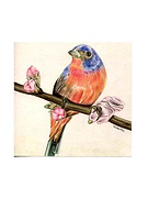 2019-04-16/b41970eaacbbc09933d13b798a0cde31_499c93b28610fadf519e1cc370c7cd45