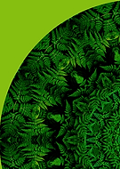 2019-04-17/6cdb336cc3b6fb7749f043841c996ec5_35a477e2ac0cb0cb3c88e1411f31d3e0