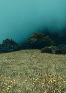 2019-04-18/235c651becfe009e93aa2d8bb11527b7_12892238ecadf5007678182be2d2d2d8