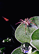 2019-04-19/f565b2359c9f7ed47f754fad0cd21cdf_ec6689b0e8574e45e1e1b5bb9023cef8