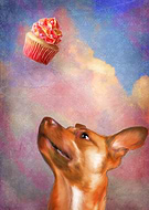 2019-04-20/d0ea9d97cce4f2297fbacb5c5b861fbd_22812773f2e900e16fc7b356f1f4fbb4