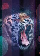 2019-04-23/ef34e7e2dd75dd128c6772b2845a7ac4_9690884e7f96539e1623fec554c9b6fb