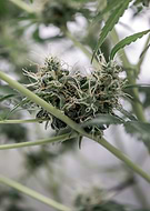 2019-04-25/4c48ca9c3cc8e6051cbed27f69296701_0e647b059e87d206497e14b9003b5ae8