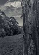 2019-04-25/73b700ca4cfed1e0ec85d22b13f80316_7d82a58452a4d7e6cbe1ac8ef3880947