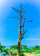 2019-04-25/7b81cc0fba5c7a513f23a3949c084917_4e654fdf62d96e196570c3fc14820de3