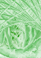 2019-04-26/0bcad4439359212f2beb19bee60bc38b_4ac344d0026066c714159aa9ef905eb7