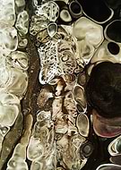 2019-04-27/65c9181f612a4bfcac408a79832dba4e_6e409b1ed11799fb6b6e89f5142cd595