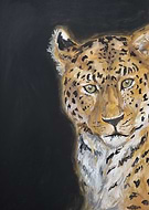 2019-04-27/88cadf4b219093801b8b29337b1e4a62_f3062257d03d92ae826fdfa4c0c0db83