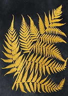 2019-04-27/d80524fa99cce2c613e6e4d013a83b10_4667ff6fdececdeacdc3197ce494573c