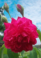 2019-04-27/e19c9f14577ef95b142cee9ee13fcaa5_659a3d4d1b0cba769caea023c88eb68d