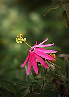 2019-04-28/26df8f0f419aaf4f0ebcf15a0173d65d_34738df9929b8487d52dbc7dced2340e