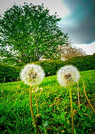 2019-04-28/2aaa272ac2069aaae504abfa6edb8f18_0d59a3e69c4c75d0ce398e175a7766a6