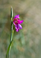 2019-04-28/5678fd2d4915dbc35b927a9e54bc0bb1_66fbf1c2a3928416f4a299747f91462f