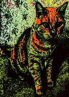 2019-04-29/300f66f68e9134a5e6a5df312baea07c_ebe3cd20487baca5c28df8382fc1ec83