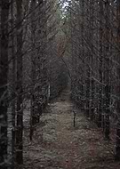 2019-04-29/63ee95115a2b620ad0ff1c71f2144073_d3efcaa9c6e06dcd5041e5af4352e6ca