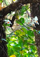 2019-04-29/d13a21d7026c3e89f6defbcbb3431907_13043bbc2548c6dcef2a829efcf9969f