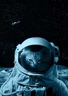 2019-04-29/db2ae9c0973bd07fd96c9feac80090a6_2f4701c404ba9e4bf1bcdc584a655b4b