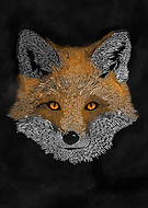 2019-04-30/18b1c875ddc32280068076e4d100a639_cf07bd5c97655ff0f8d55bcbe1e26982