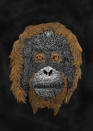 2019-04-30/9d44dd625e6c7b31ee7eab23920a72dd_a616cdd08c6fc8125da1260ecdfd7bb2