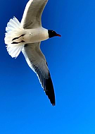 2019-05-01/02a8dd42f5780a582d706c3beda6dd0c_ce72c360cd2240e6a80308f7cf926e0c