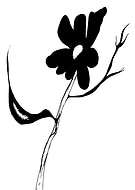 2019-05-01/480773100f35693582c114ae9aaf6118_885290e012aac2874e484324a42ac2ed