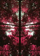 2019-05-01/4b551769e1c263d9c548e641a18ef154_552ea31e16264e0bbe0186abe42b9750