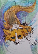 2019-05-01/5393a61279e61f8c61de25acaeda55a9_499b0e86014ae5e24f8512b66e246f6f