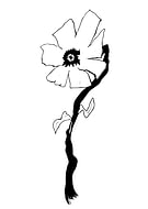 2019-05-01/ef0c2e2d93011ee25bf6b28431fd8375_ec8df5fe146fb383f922ddb8ddb7727a