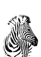 2019-05-02/748a9f764241c077c8228678a3d4fc9b_b665a94d01a343667b3a6f79f06d971d