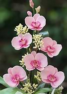 2019-05-02/967e72e3a16b58e638b1c81dacaee07d_c40bad2587948c03f3afd1cc6e6689ea