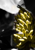 2019-05-03/64a473ff92b8034b8bdfde681ef2b571_77a8f87e985847b74bb9f2b69822964e