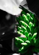 2019-05-03/9b723ba1e51ddfe8b432d4ba797dffd1_130a525eb82705fdd0073830b785594e