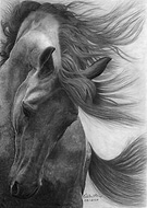 2019-05-03/bb2e9406945845afba1eff4a8b5a42df_c1569220405d49d41d418793a74f8326