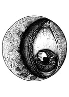 2019-05-03/c22ccc8b74f9336f5a39c2ccdcb9d893_716eea3b1ce1f2215efb3b2512d2dccd