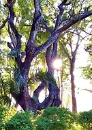 2019-05-03/f276572805a25bf98d907233b148e4e9_392b7581c47910e51463357dbf8614a2