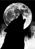 2019-05-04/84a7c006291045acadeaf736d0b64e1c_a37aa2c7063db2451e405cd4259f4d73