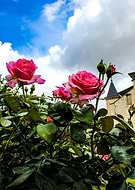 2019-05-04/c2a75b72859949017df24c2a25218d75_20193961252b4bf1422e05b72c05ce63