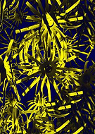 2019-05-06/4c8e03fb354d1f96667d9081b166108b_25bfc4f5240280270378c0b7d276b40d