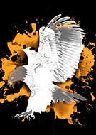 2019-05-06/a061bb591d0654dbf78da01c705e4859_8e6b289459afbf2e818261e64148db93