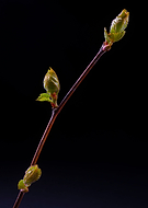 2019-05-06/fd66a77d34e6a29ee45f12b011526d98_ca1ff2e7a73bdb8a7bba4ba468aee805