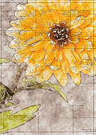 2019-05-08/6b21eb53471800dccf9e02a9afd106e2_b0ab5f9fc36c776355fd360b746d93dc