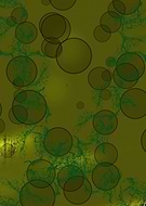 2019-05-09/ebb32de65311a90dae2b7b9efa341ea5_42f76b00aed5891158171eaa44361c16