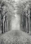 2019-05-10/16f66d9dec7119a43e44f278af86823c_cb3383df1fa32fef6b8af430ba3cee19