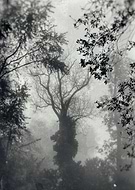 2019-05-10/6d69265b877f1cc6fe1f25103de6c1bd_725446a6f826ed3b7de9948a8715829d